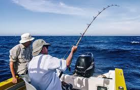 لیست آدرس های ماهیگیری در تهران و حومه