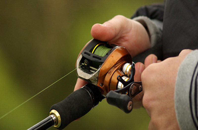 چرخ ماهیگیری